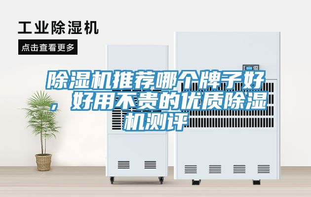 除濕機推薦哪個牌子好，好用不貴的優質除濕機測評