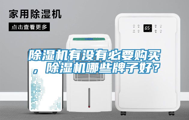 除濕機有沒有必要購買，除濕機哪些牌子好？
