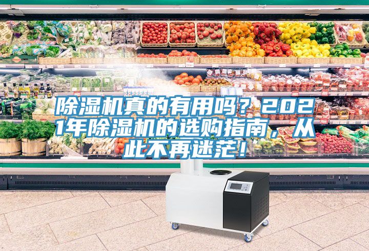 除濕機真的有用嗎？2021年除濕機的選購指南，從此不再迷茫！