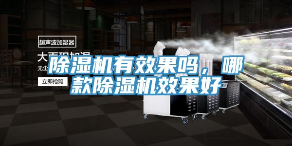 除濕機有效果嗎，哪款除濕機效果好