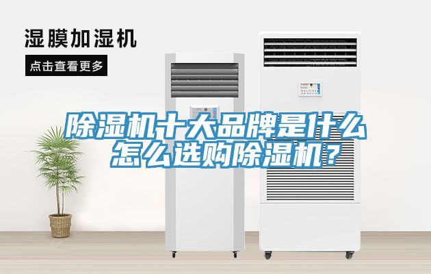 除濕機(jī)十大品牌是什么 怎么選購除濕機(jī)？
