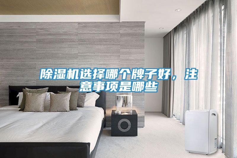 除濕機選擇哪個牌子好，注意事項是哪些
