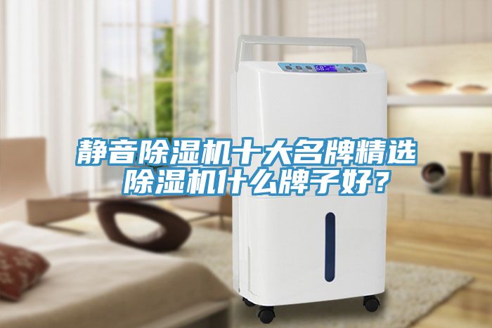 靜音除濕機十大名牌精選 除濕機什么牌子好？