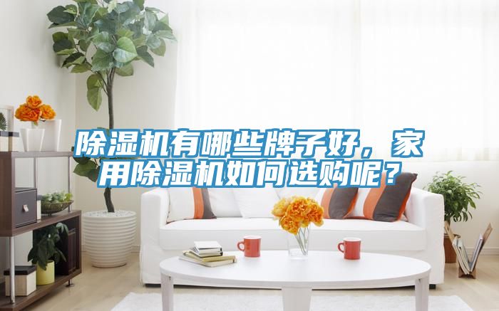 除濕機有哪些牌子好，家用除濕機如何選購呢？