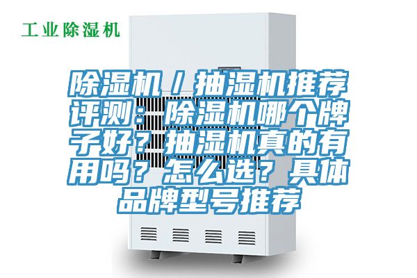 除濕機(jī)／抽濕機(jī)推薦評測：除濕機(jī)哪個牌子好？抽濕機(jī)真的有用嗎？怎么選？具體品牌型號推薦