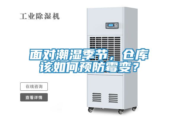 面對潮濕季節，倉庫該如何預防霉變？