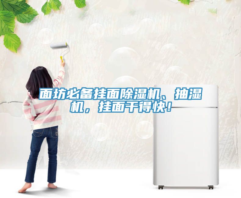 面坊必備掛面除濕機、抽濕機，掛面干得快！