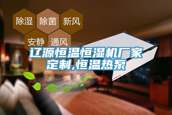 遼源恒溫恒濕機(jī)廠(chǎng)家定制,恒溫?zé)岜?></div>
								<div   id=