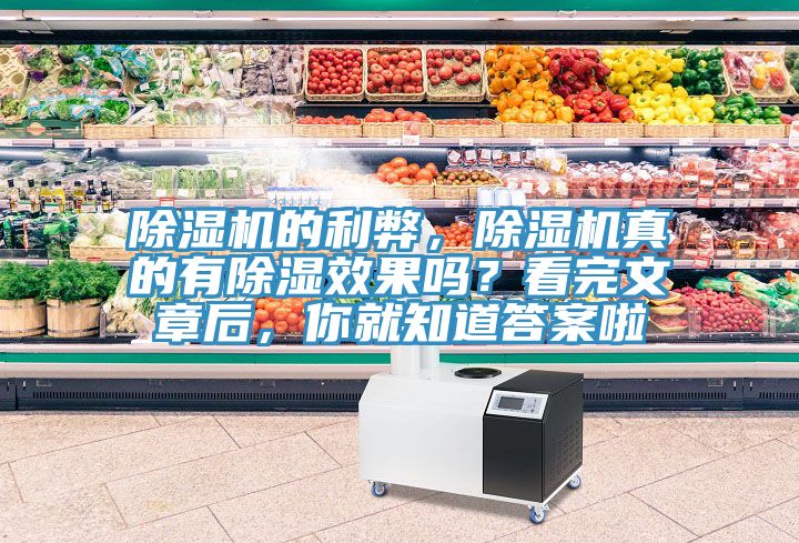 除濕機(jī)的利弊，除濕機(jī)真的有除濕效果嗎？看完文章后，你就知道答案啦