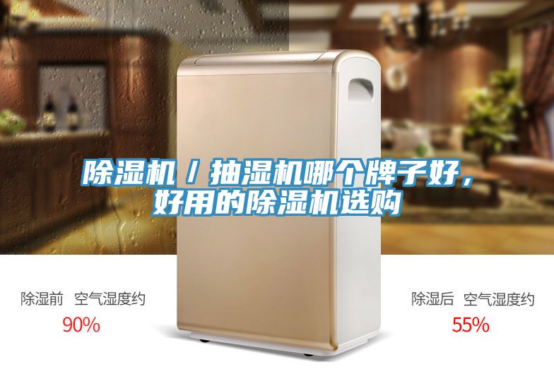 除濕機(jī)／抽濕機(jī)哪個牌子好，好用的除濕機(jī)選購