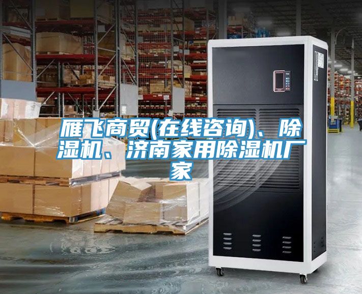 雁飛商貿(mào)(在線咨詢)、除濕機(jī)、濟(jì)南家用除濕機(jī)廠家