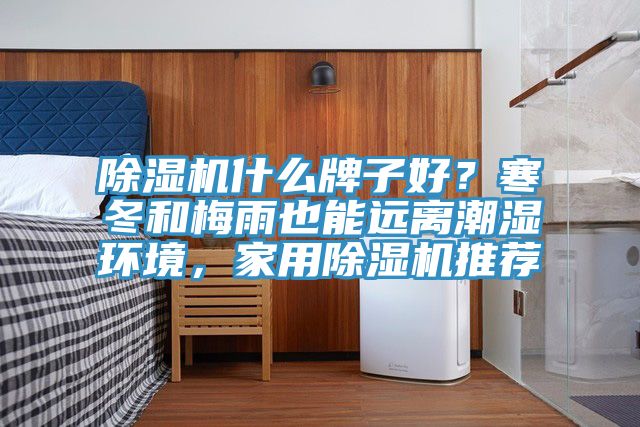 除濕機什么牌子好？寒冬和梅雨也能遠離潮濕環境，家用除濕機推薦