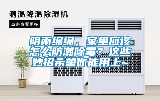陰雨綿綿，家里應該怎么防潮除霉？這些妙招希望你能用上~