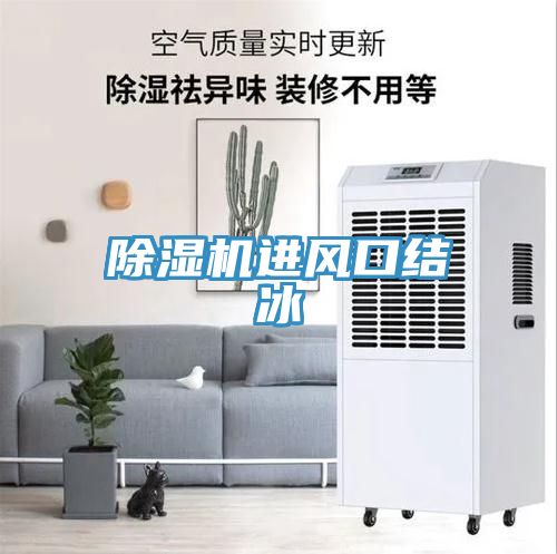 除濕機進風口結(jié)冰