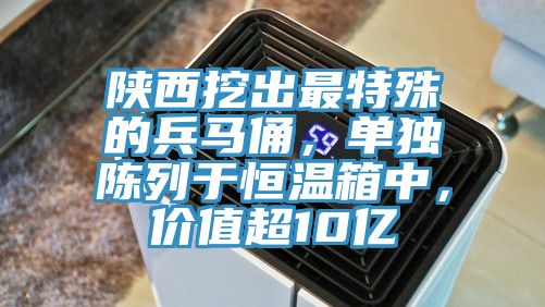 陜西挖出最特殊的兵馬俑，單獨陳列于恒溫箱中，價值超10億