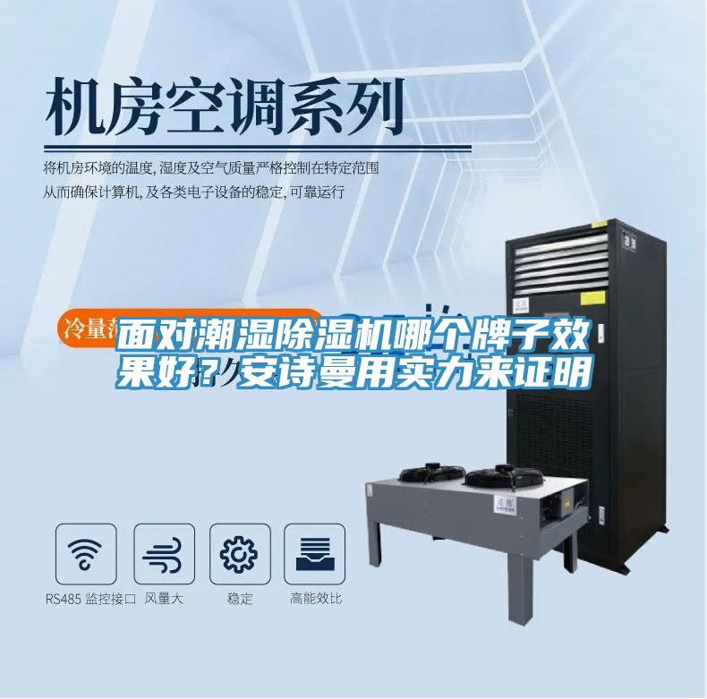 面對潮濕除濕機哪個牌子效果好？安詩曼用實力來證明